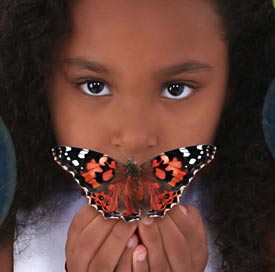 Girl with Butterfly Transforming