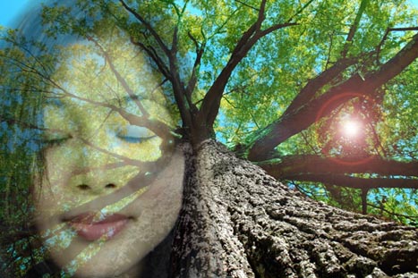 Young Woman Meditating with Tree